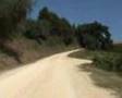 Quad Ride