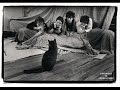 9,10 R.E.M. West Of The Fields, Auctioneer, Live 1985, Hammersmith Palais, London, England