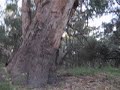 A river
