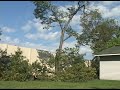 Falling a tree