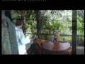 Feeding of monkeys (The Hotel Kandalama)
