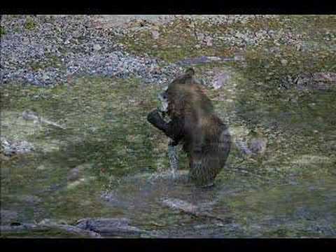 Prince Rupert Adventure Tours