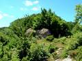 videos de Casa Rural Urbasa Urederra Nº65 Yeguas Helechos 5 - 27735 A