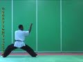 Basiques 1 Choy Li fut Basiques 1 Choy Li fut