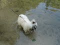 on Chloe Pond - part 2