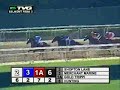 Taconeo-Yankee Victor Stakes Taconeo-Yankee Victor Stakes