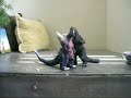 Godzilla Stopmotion Collection
