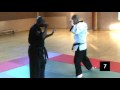 Browne budo ryu K. jujitsu demo Video