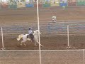Red Bluff Rodeo - Katie Poles