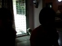 Bleeding Love-Cover *