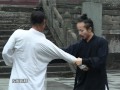 Wudangshan TV - LONG HUA QUAN 武当龙华拳