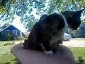 videos de Lucky and Little Lucky