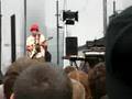 Small Animal Collective Clip