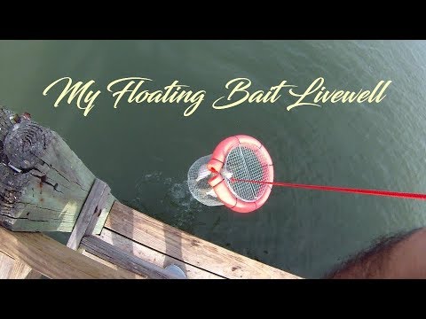 My Floating Bait Livewell