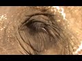 A artistic video featuring all the hotspots of Koh Samui.  Traveling around the Koh Samui ring road, we filmed locations in Chaweng, Lamai, Bophut, Bang Rak, Choengmon, and Maenam.