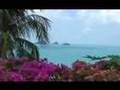Koh Samui Lifestyle - YouTube