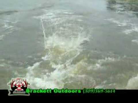 Jumping Asian Carp