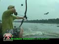 Jumping Asian Carp Jumping Asian Carp