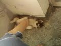 Playtime, again...