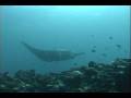 videos de 石垣島 200407b