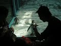 Funny penguin Funny penguin