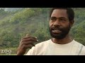 Video from the country's very first conservation area celebration. Tree Kangaroo Conservation Program, Singing, dancing, speeches from the highland village of Teptep, Papua New Guinea. Produced by Ryan Hawk.