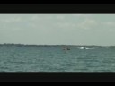 Detroit River FLW Life On Tour journal part two