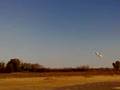 RC Corex Plane Crash