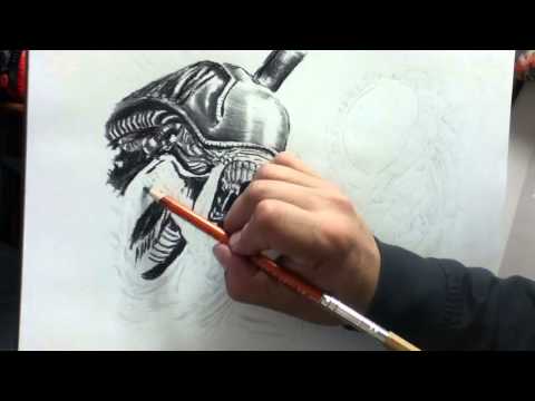 how to draw predator