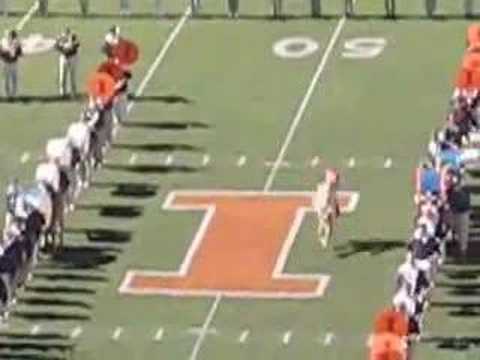 University of Illinois "3 in 1"