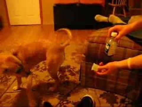 how to treat nyquil overdose