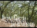 jerry-garcia-and-david-grisman-shady-grove.html
