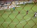 videos de Tiburones vs coatzacoalcos