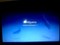 Фэйл calculate linux