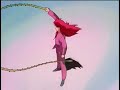 Yu Yu Hakusho