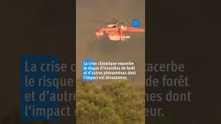 Grèce : Incendies ravageurs près d’Athènes