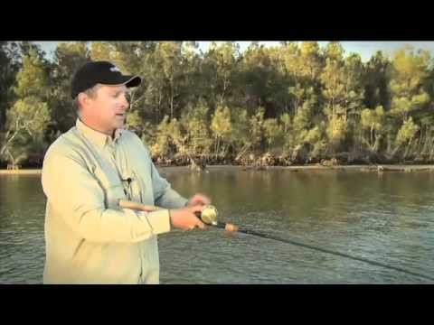 WildEye Seeker Shad