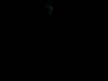 videos de mejillon a lo viloria