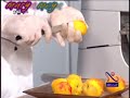 ����� ��� - �������� - ��� ����� 2
