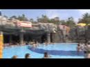 XJAM 2008 Videoblog 2. Woche 01 Seven Seas - Poolrunner