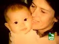 steve irwin 1962 to 2006 part10