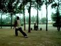 Shaolin Luohan Quan Video zeigen