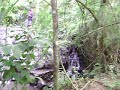 Buwaya creek fun!