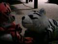 videos de Stuffed animal tournament