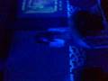 videos de Rebeca brow 1