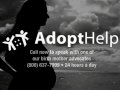 AdoptHelp Commercial