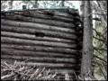 Survivalist builds cabin in the mountains of Arjeplog.