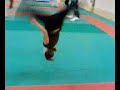 Salto Salto