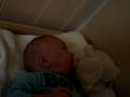 videos de Senne en het schaap