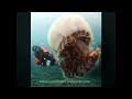 Giant Jellyfish Invading Japan - Female VOICE OF Nature/Wildlife Narrator - SUBTITLED